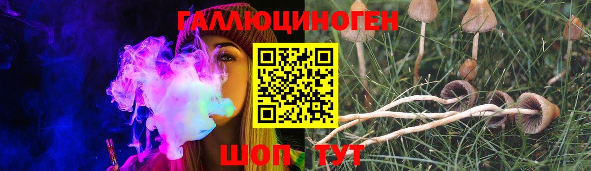 Псилоцибиновые грибы MAGIC MUSHROOMS  где найти наркотики  Псилоцибиновые грибы GOLDEN TEACHER  Кизляр  Вход с VPN 